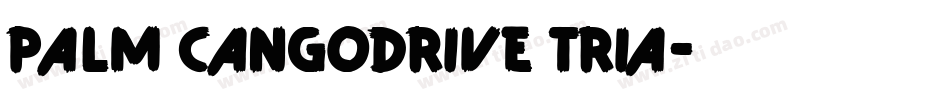palm cangodrive tria字体转换
